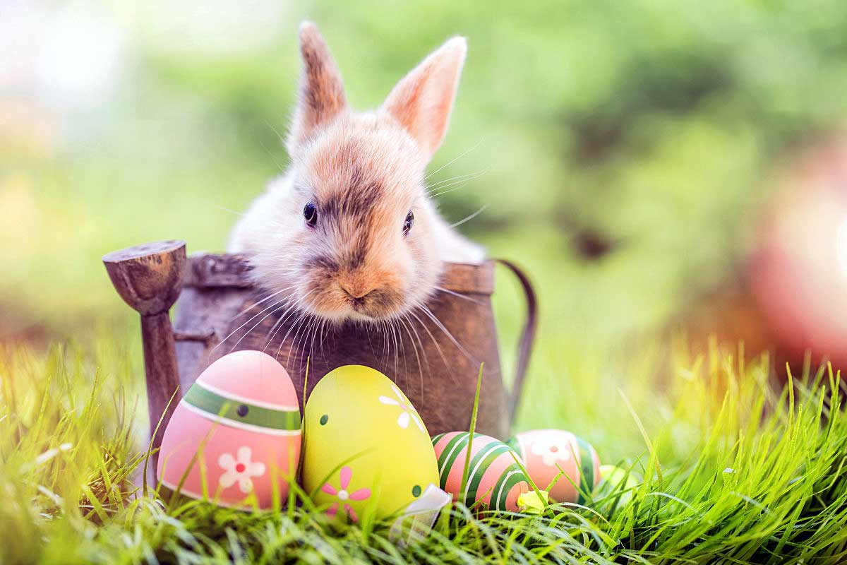 Ostern 2025